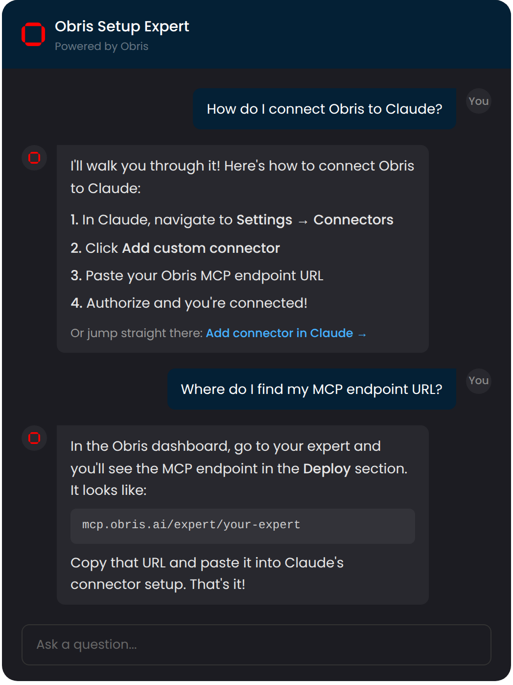 Obris Setup Expert walking through Claude connection